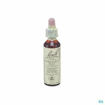 bach-flower-remedie-07-chestnut-bud-20-ml