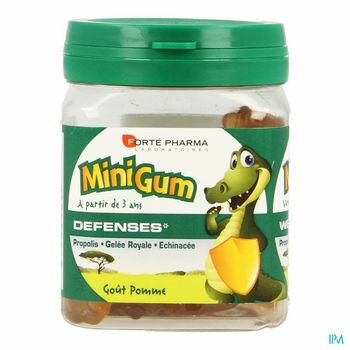 minigum-defenses-50-gommes