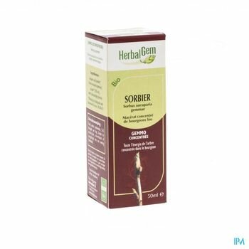 herbalgem-sorbier-macerat-concentre-de-bourgeons-50-ml
